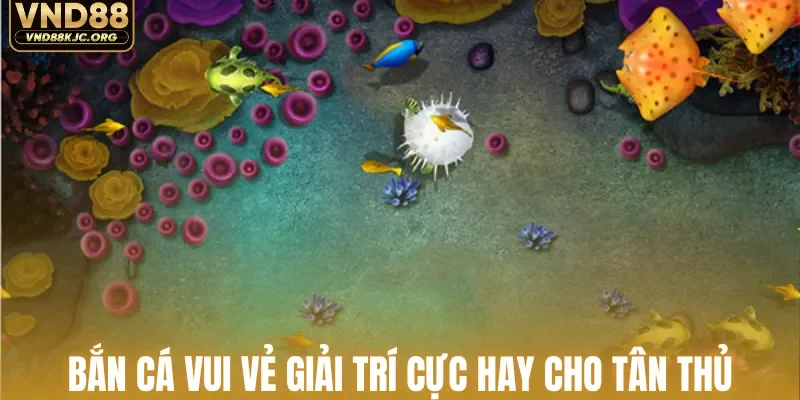 Bắn cá vui vẻ giải trí cực hay cho tân thủ
