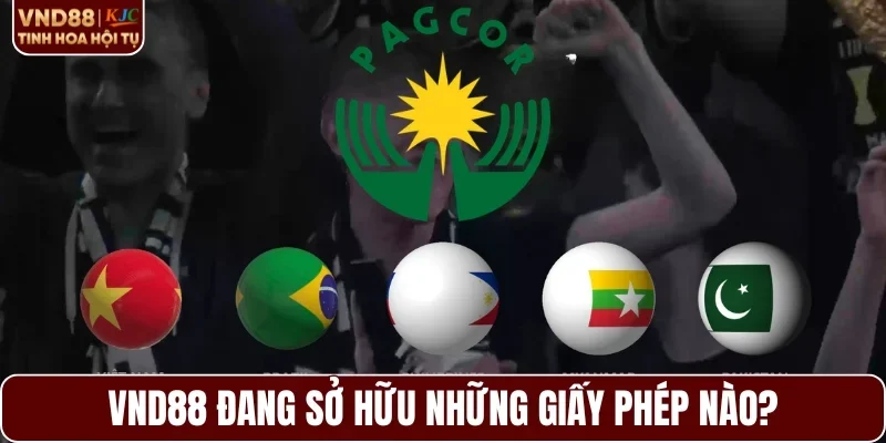 Bộ giấy phép quan trọng mà nền tảng đang sở hữu