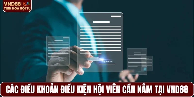 Các điều khoản điều kiện hội viên cần nắm rõ tại VND88