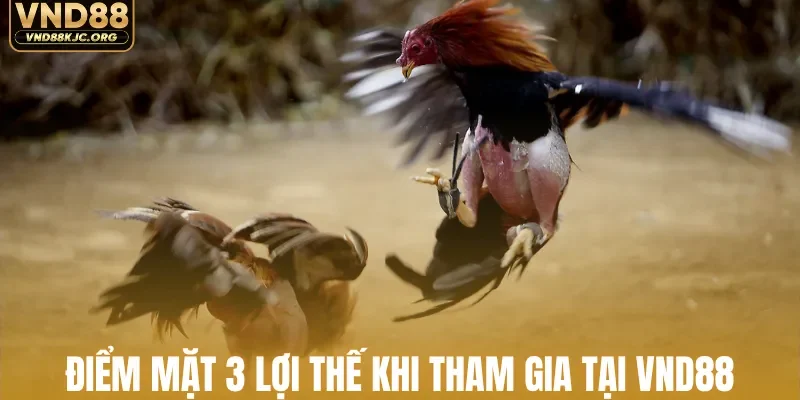 Điểm mặt 3 lợi thế khi tham gia tại VND88