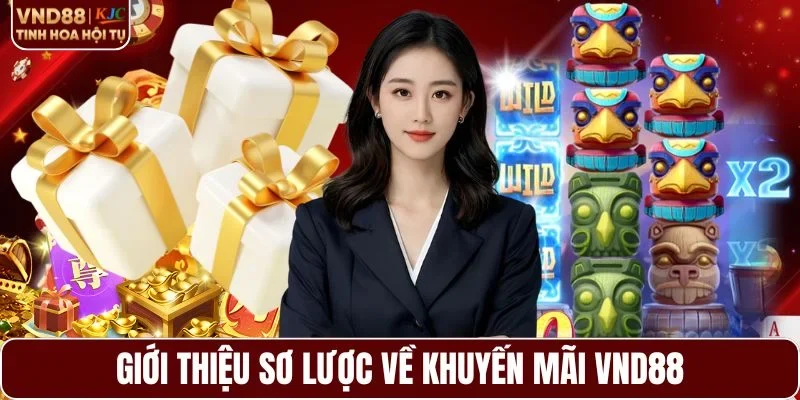Giới thiệu sơ lược về khuyến mãi VND88