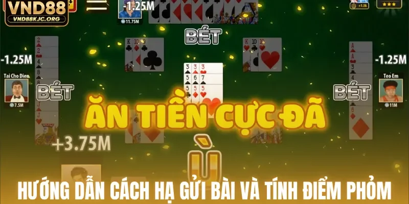 Hướng dẫn cách hạ gửi bài và tính điểm phỏm
