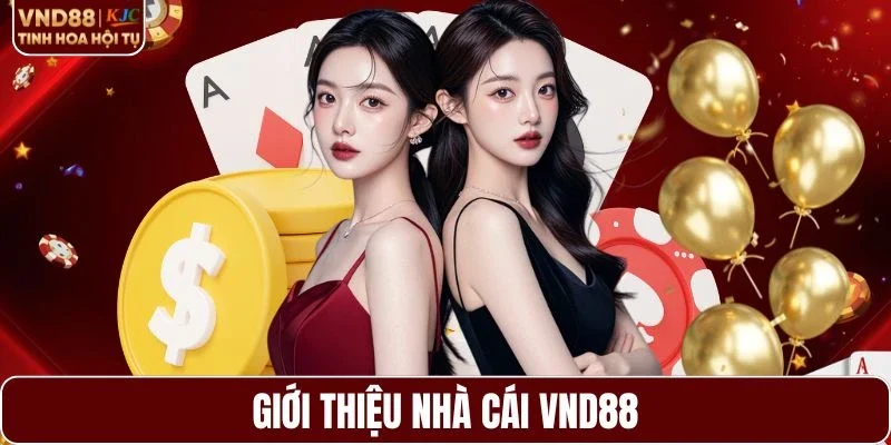 Thông tin cơ bản về nhà cái VND88