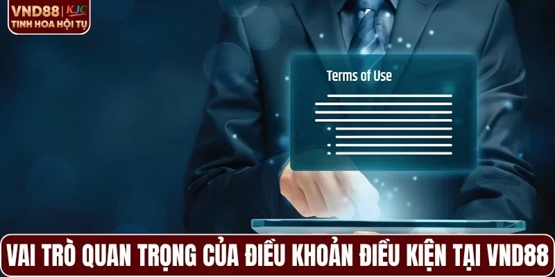 Vai trò quan trọng của điều khoản điều kiện tại VND88