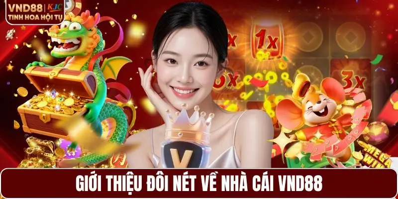 Giới thiệu đôi nét về nhà cái VND88